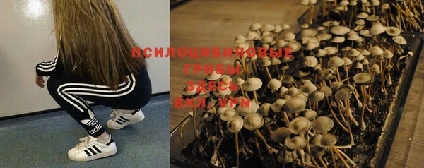 эйфоретик Сафоново