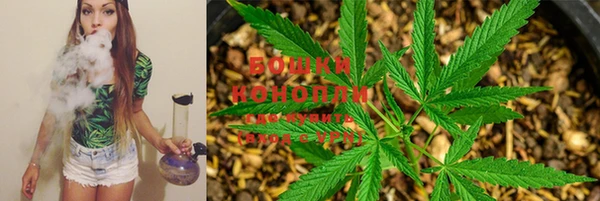 эйфоретик Сафоново